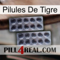 Tiger Pills 31